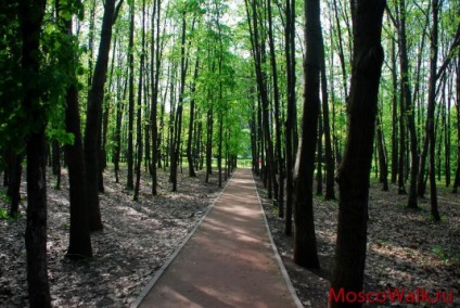 Parcul numit după aniversarea a 50 de ani din octombrie - plimbări la Moscova, parcuri