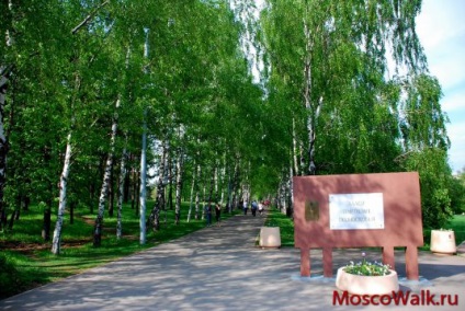 Parcul numit după aniversarea a 50 de ani din octombrie - plimbări la Moscova, parcuri