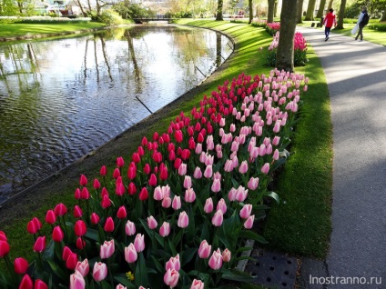 Kökenhof Tulips Park