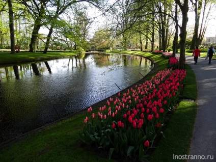 Kökenhof Tulips Park