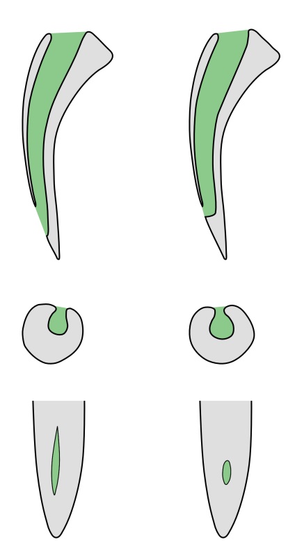 Plictisesc Cobra