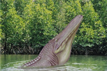 Miért krokodilok túlélte a kréta-tercier kihalási esemény