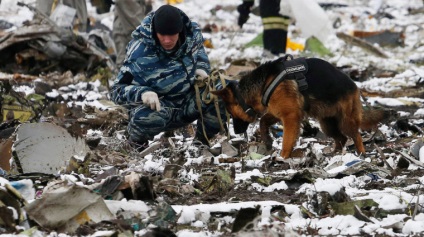 De ce a căzut Boeing 737 în Rostov-on-Don