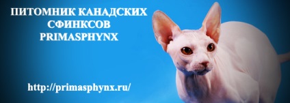 Termékenyítő cica - Táplálkozás - cikkek Directory - Sphinx Alliance - Forum (SAF)