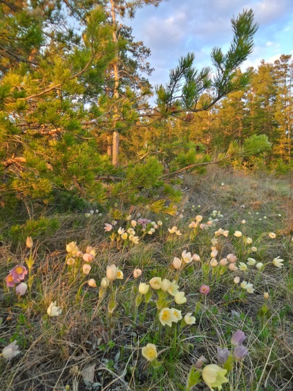 O excursie la cascadele din regiunea Akmola în zilele de sărbătoare