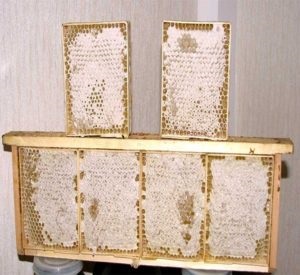 Proprietăți utile de fagure de miere, de apicultură și nu numai