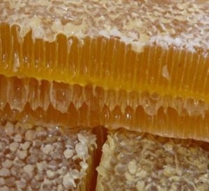 Hasznos tulajdonságai méhsejt, és nem csak a pchelodelo