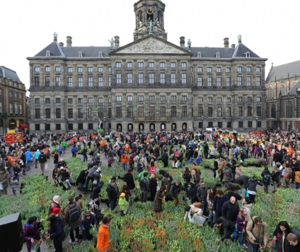 Fields tulipánok Holland, amsterdam10 - Tippek a turisták Amszterdamban