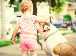 Reguli de comportament a câinilor de către copii