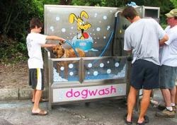 Jövedelmező üzlet szervezésével különleges mosás kutyák