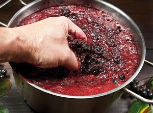 Pregătirea vinului rowan, opțiuni pentru gătit rețete la domiciliu