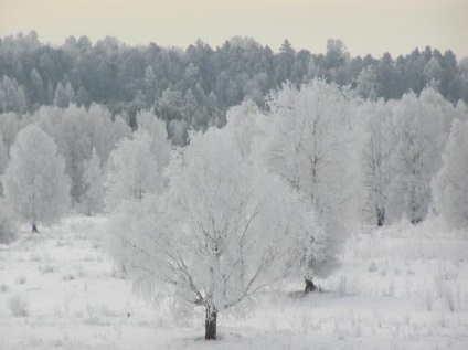 Natura vasyuganei noi