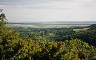 Natură, plante și animale din regiunea Saratov