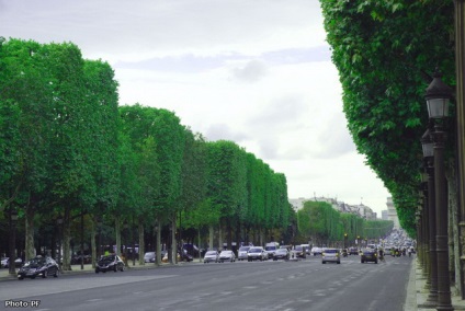 Mergeți prin Champs Elysées