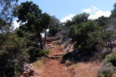 Mergând pe calea afroditului (o baie de afrodite)