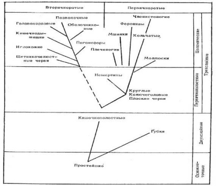 Originea vieții - Filosofia