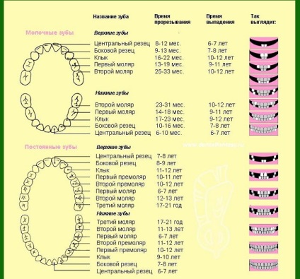 Dentiție dinți la sugari