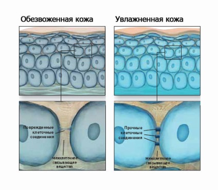 Descoperire în zona de umidificare hidraphase intensă de la la roche-posay