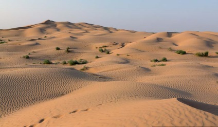Fratele mare Desert (barkhan)