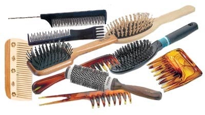 Combs haj