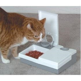 Evaluarea hranei pentru pisici alege un tratament pentru animalele de companie