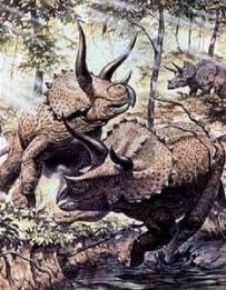 Protoceratops din dinozauri corn, triceratops