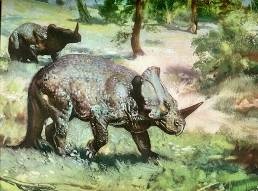 Protoceratops din dinozauri corn, triceratops