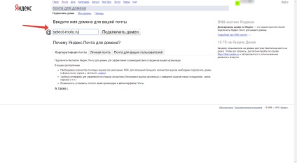 Ru-center (nic) cum să delegeți un domeniu la yandex dns