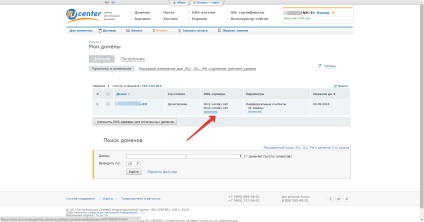 Ru-center (nic) cum să delegeți un domeniu la yandex dns