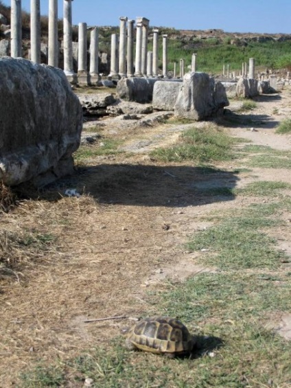 Side și împrejurimi (aspendos și perge)