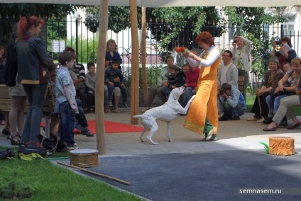 Câinii au dat bucurie copiilor