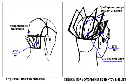 Kaszálás ritmus - fotók, technológiai rendszerek, video-bemutató - a rövid frizura - hajvágás - cikkek Directory