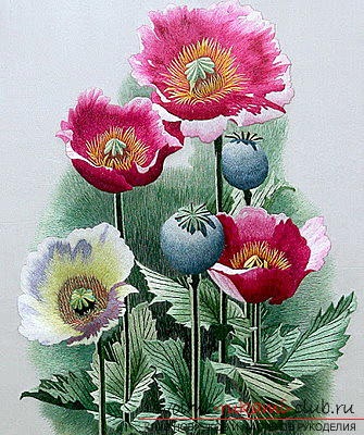 Diagrama de broderie a macului chinezesc, modelele broderiei chinezești ale florii, broderia de semințe de mac pentru