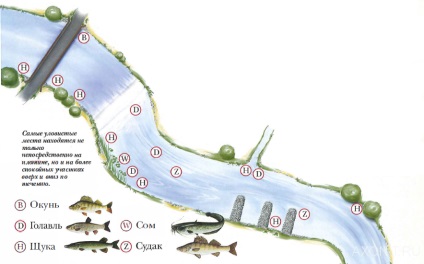 Tactica pescuitului de pescuit pe baraje și la mică adâncime - pescuit în Ural, pescuit în Ural