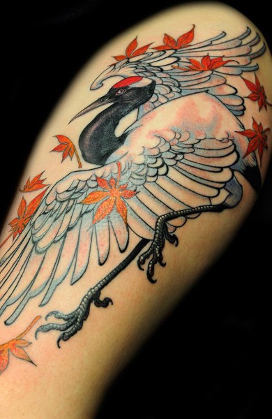 Tatuajul unei macarale - valoare, schițele unui tatuaj și o fotografie