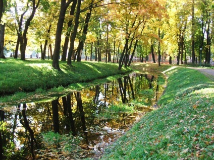 Tavrichesky grădină în Saint Petersburg fotografie, seră, uscare