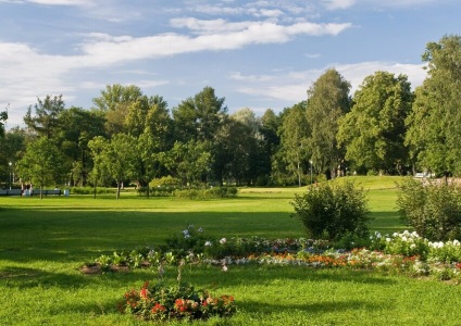 Tavrichesky grădină în Saint Petersburg fotografie, seră, uscare