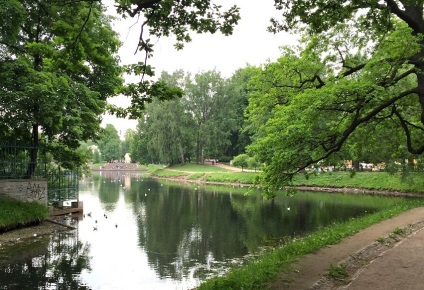 Tavrichesky grădină în Saint Petersburg fotografie, seră, uscare