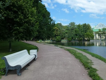 Tavrichesky grădină în Saint Petersburg fotografie, seră, uscare