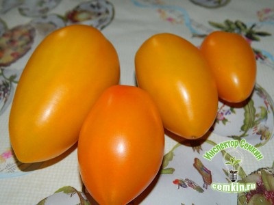 Tomato orange banana (aelita), inspector Semkin