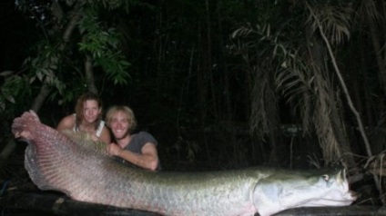 Top 10 félelmetes lények Amazonas folyó