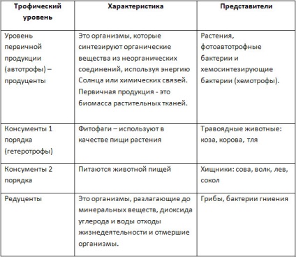 Nivelele trofice ale ecosistemului - stadopedie