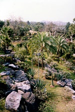 Tropical garden nong nuch, design peisagistic de grădini și parcuri