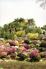 Tropical garden nong nuch, design peisagistic de grădini și parcuri