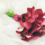 Tulip nunta în cele mai bune tradiții de primăvară, afaceri de livrare de flori