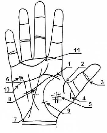 Linii și semne unice pe mâini