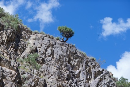 Pentru a vedea vârful lui Putin