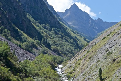 Pentru a vedea vârful lui Putin