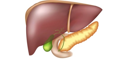 Ficat cu ultrasunete - centru de diagnostic medical - starea mea de sănătate