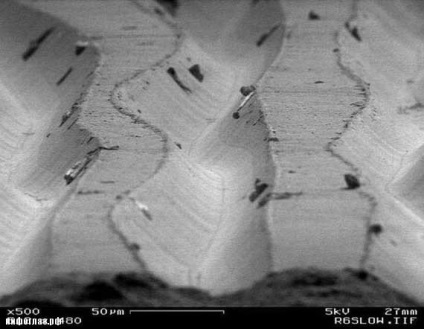 Vinilul sub microscop este o sursă de bună dispoziție